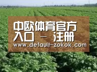 种植基地五