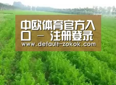 种植基地四