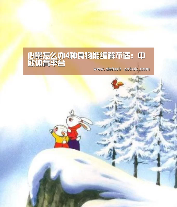 中欧体育
