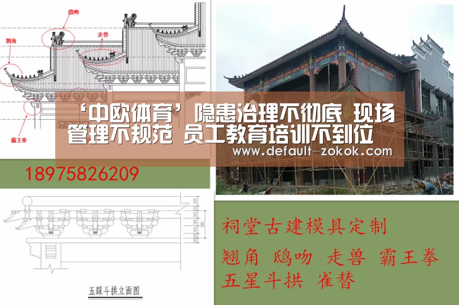 中欧体育平台