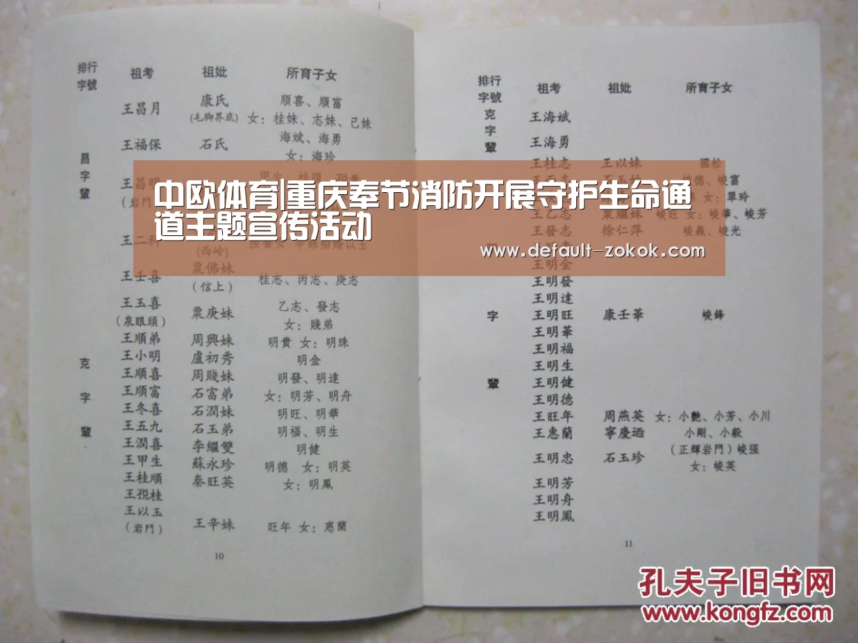中欧体育平台