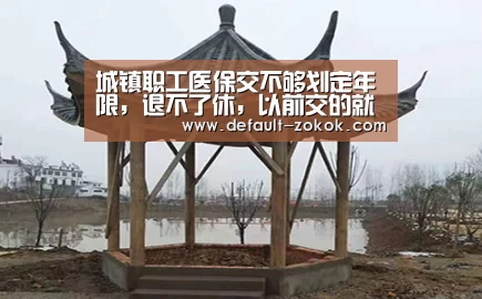中欧体育