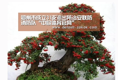 鄂州市成立31支派出所治安联防消防队“中欧体育官网”(图4) 中欧体育官网