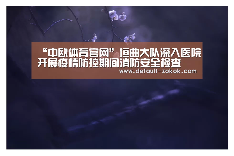 中欧体育