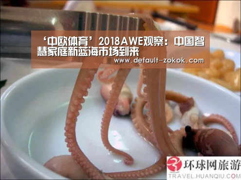 zoty体育