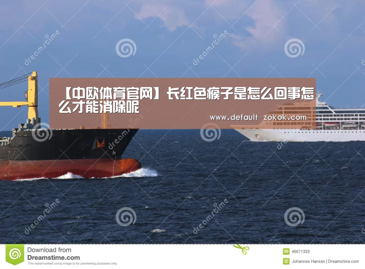 中欧体育平台