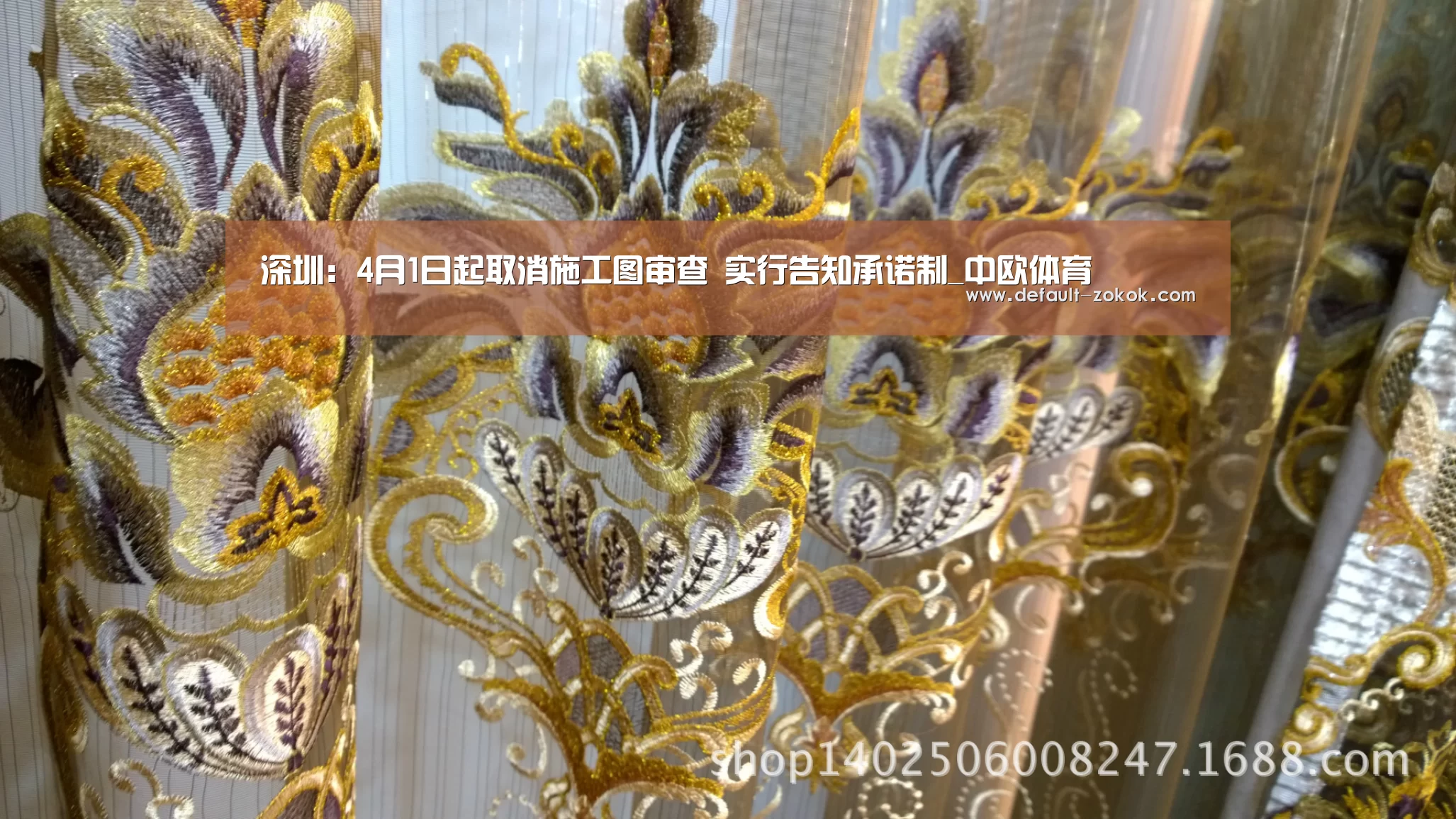 中欧体育