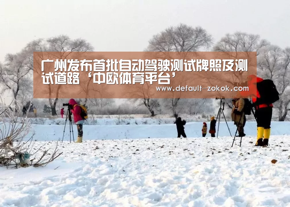 中欧体育平台